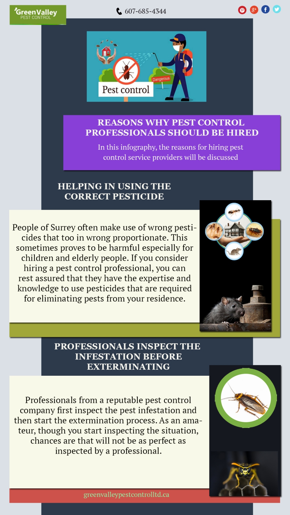 Pest control Surrey
